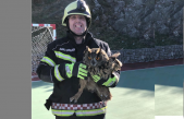 Vatrogasci spasili sovu zapletenu u mrežu gola