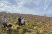 Akcija pošumljavanja: u Zoričićima posađeno tisuću sadnica crnog bora